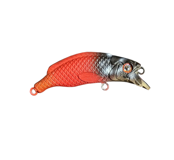 bajau lrf