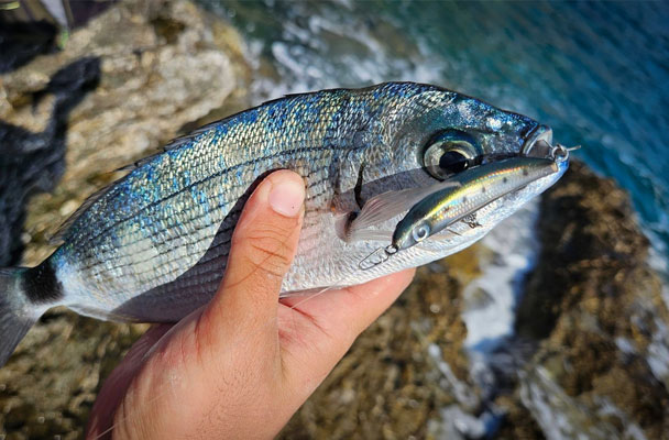 Κuluki