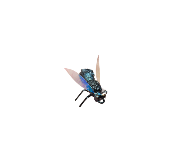 Μύγα