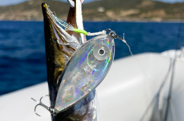 Γόνος spinning