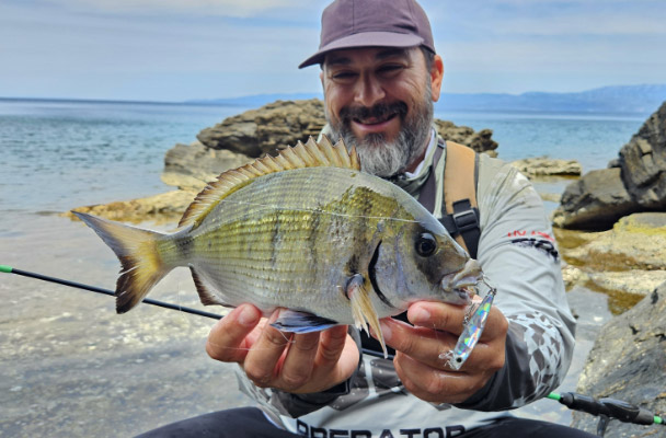 dostum minnow