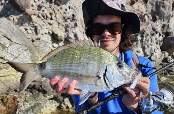 dostum minnow