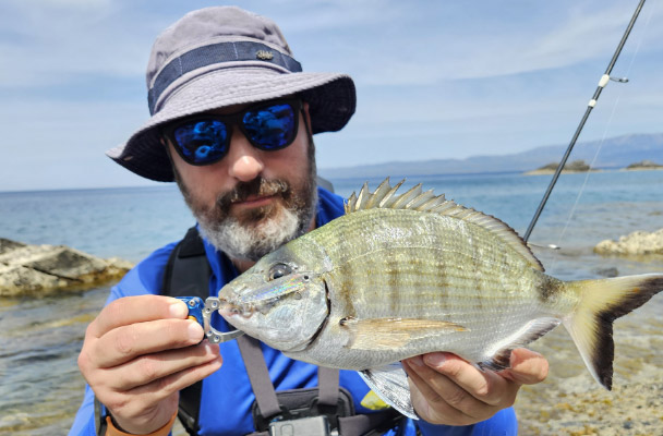 dostum minnow
