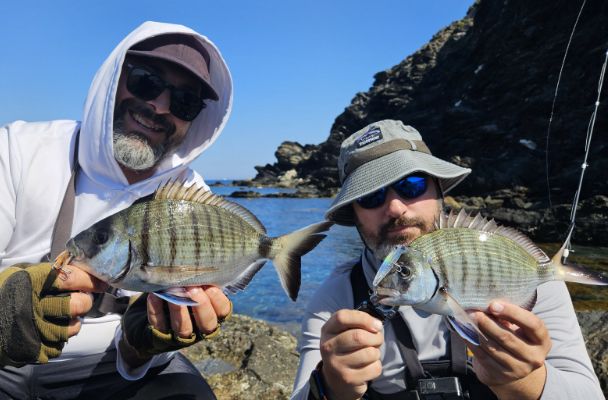 dostum minnow