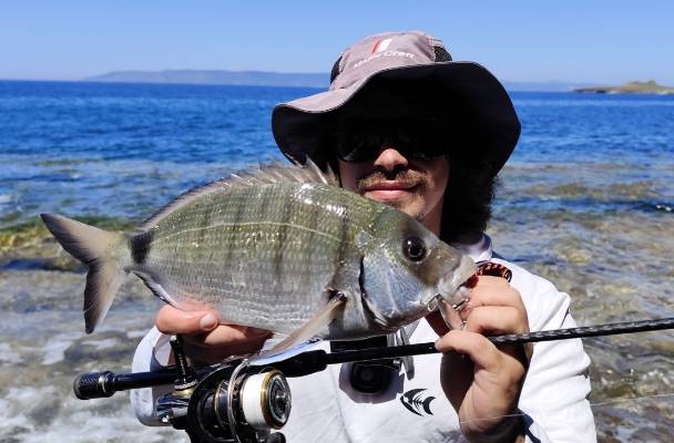dostum minnow